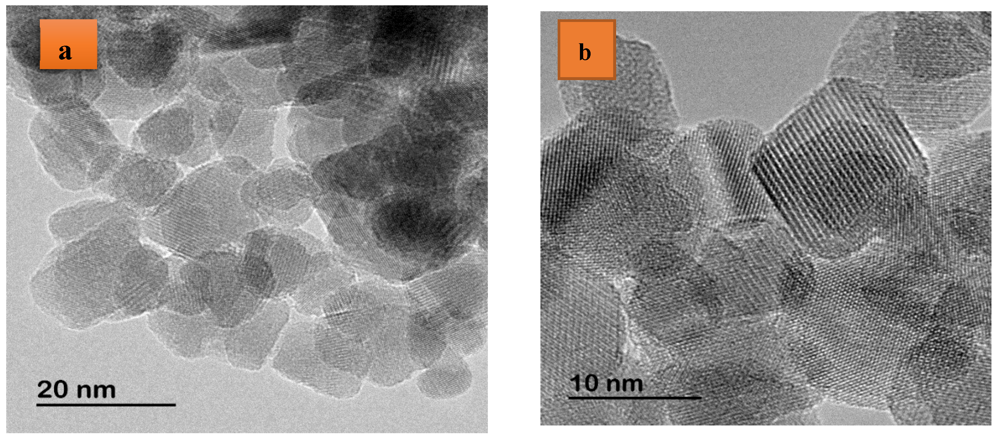 Polymers 16 01190 g004a