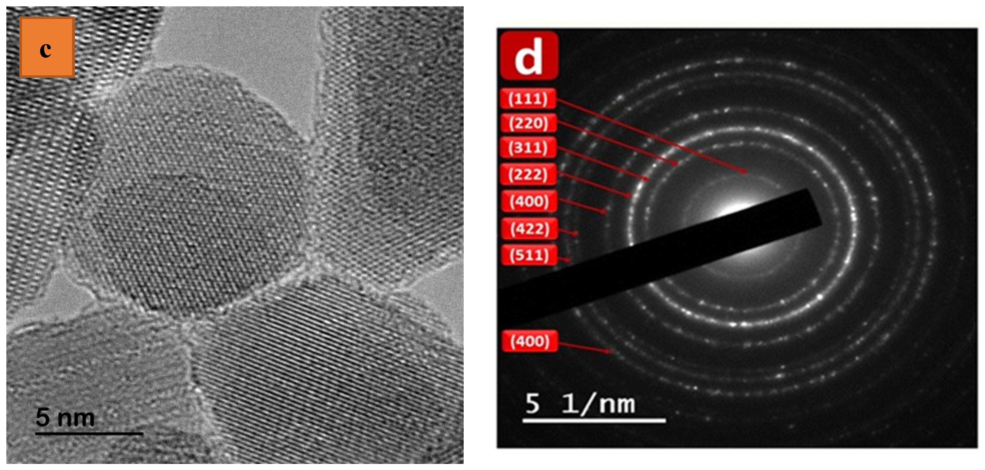 Polymers 16 01190 g004b