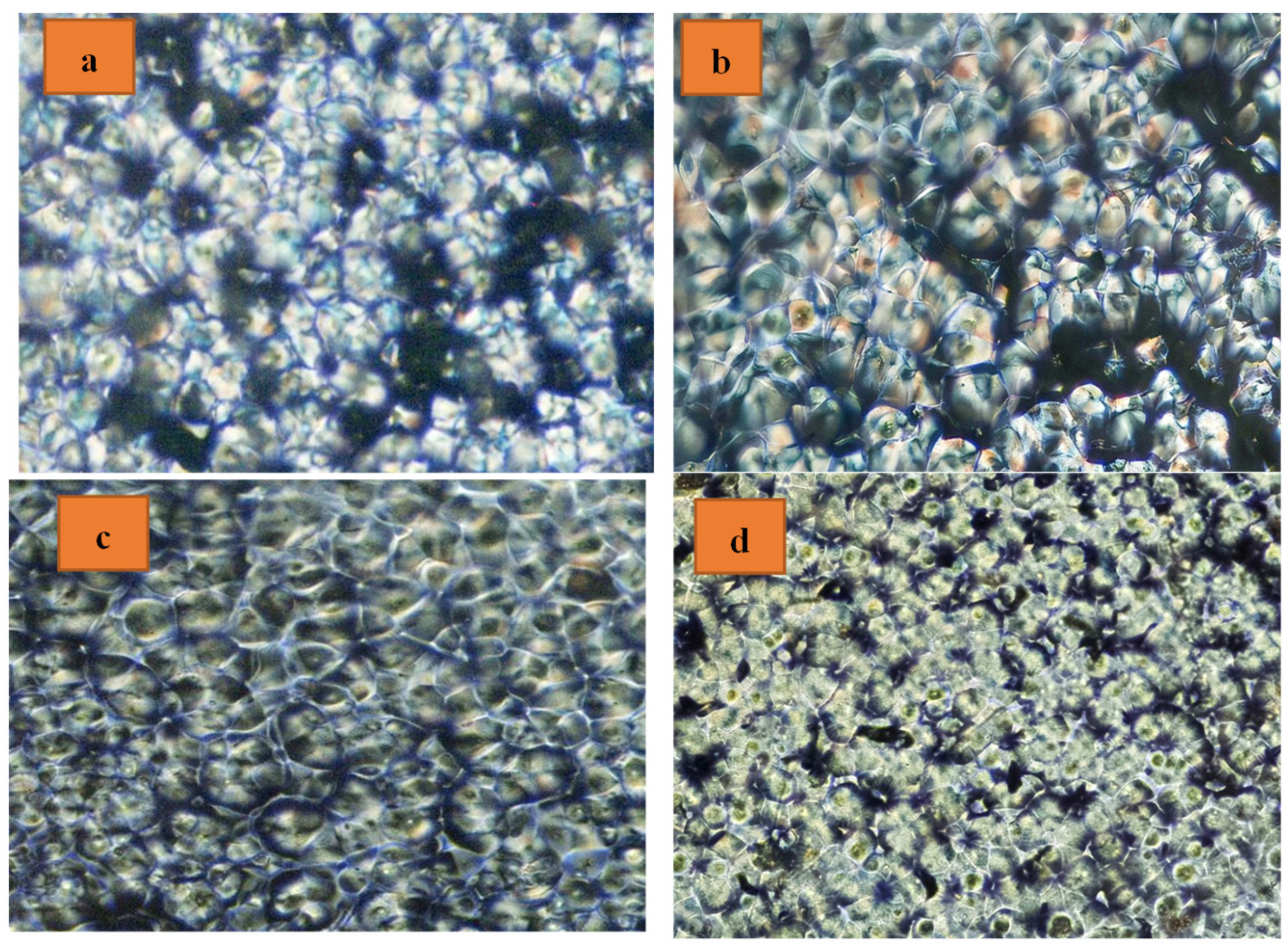 Polymers 16 01190 g006