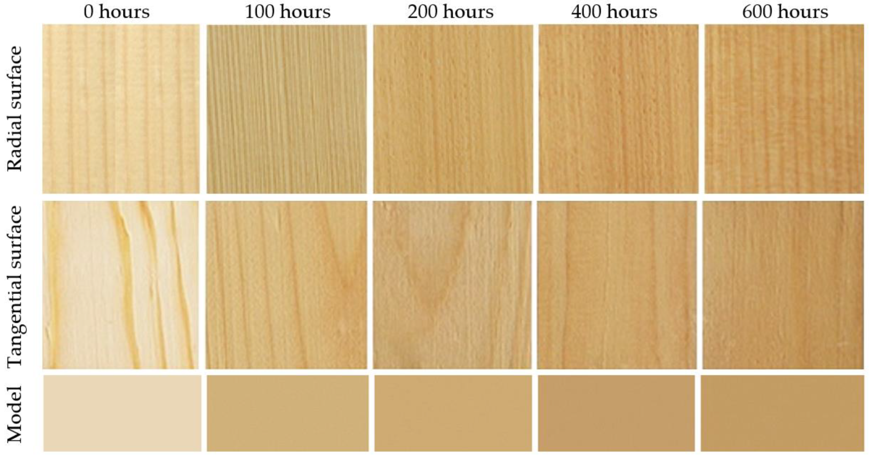 Polymers 16 01191 g003