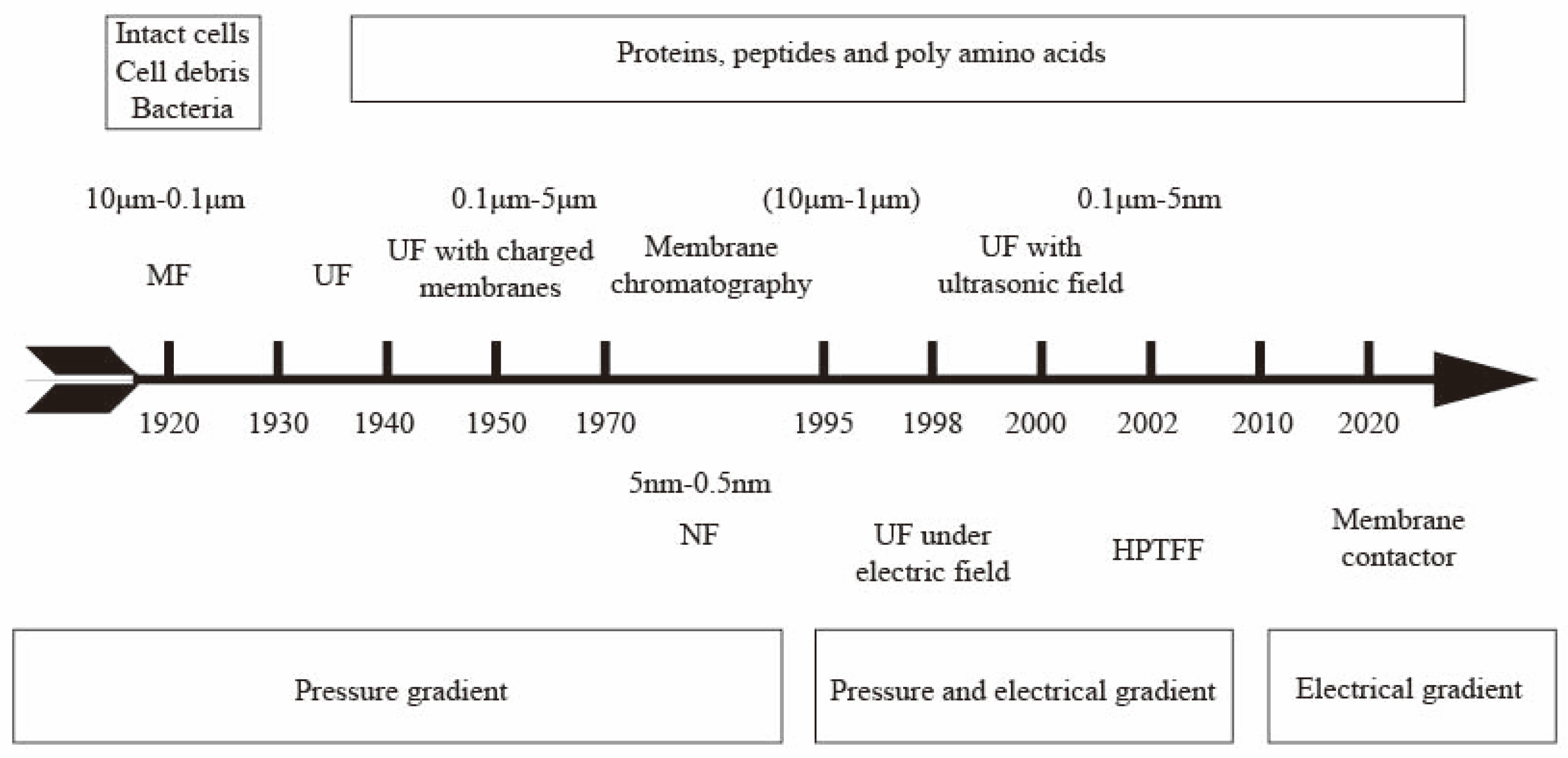 Polymers 16 01194 g001