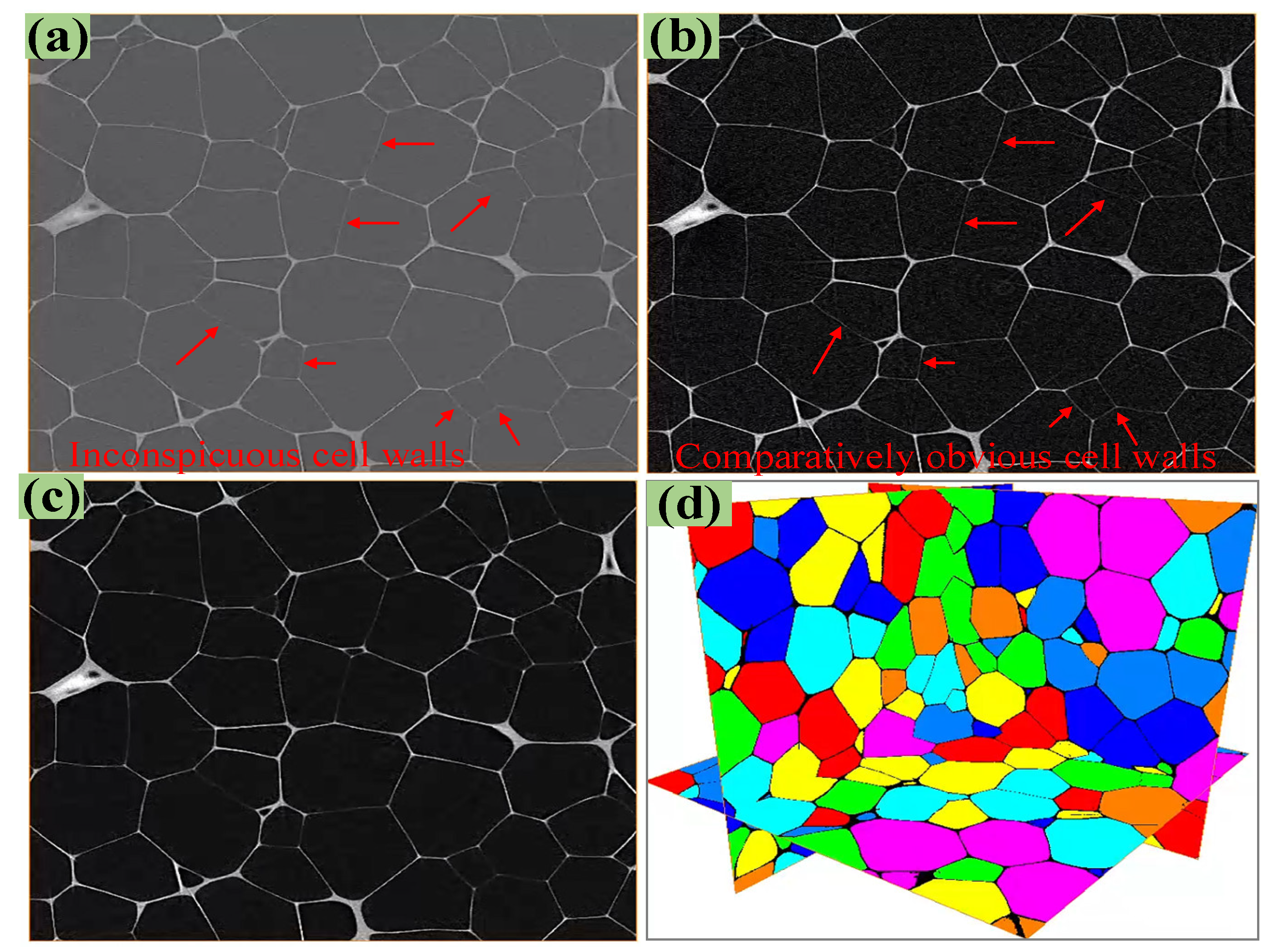 Polymers 16 01199 g002