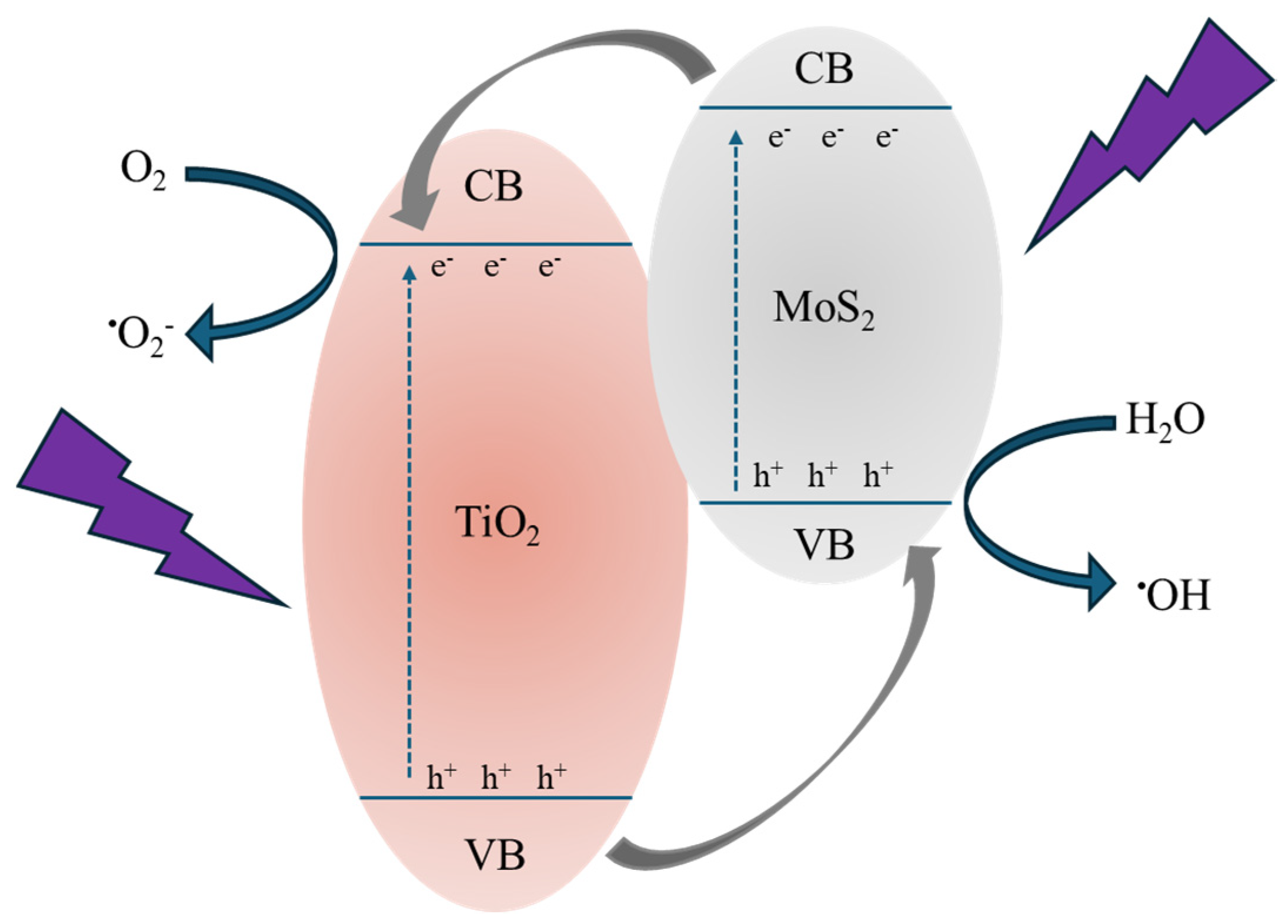 Polymers 16 01200 g010