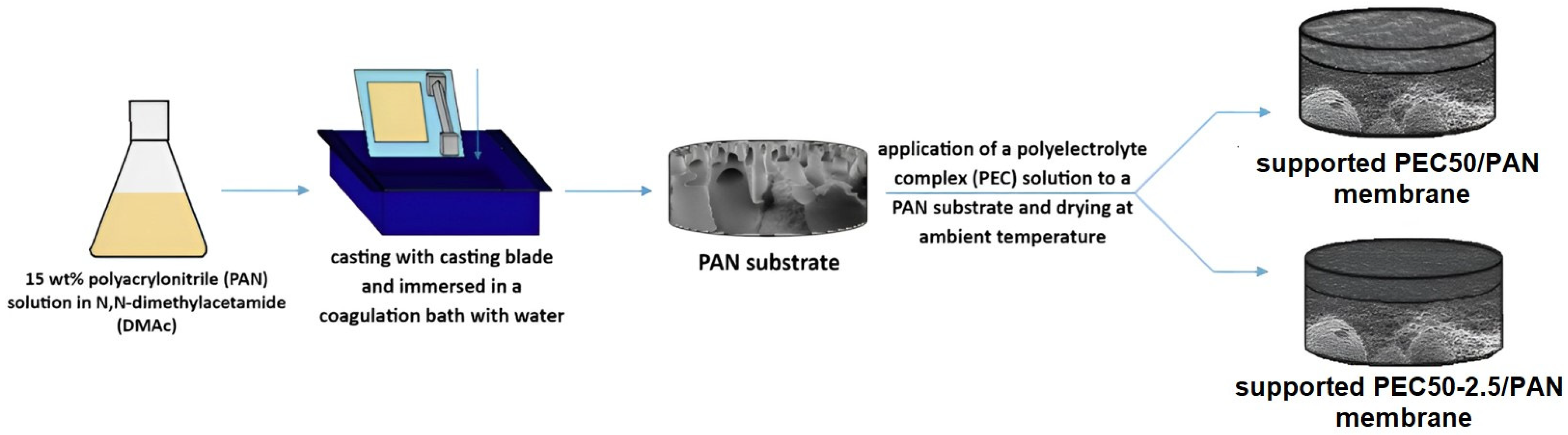 Polymers 16 01206 g002