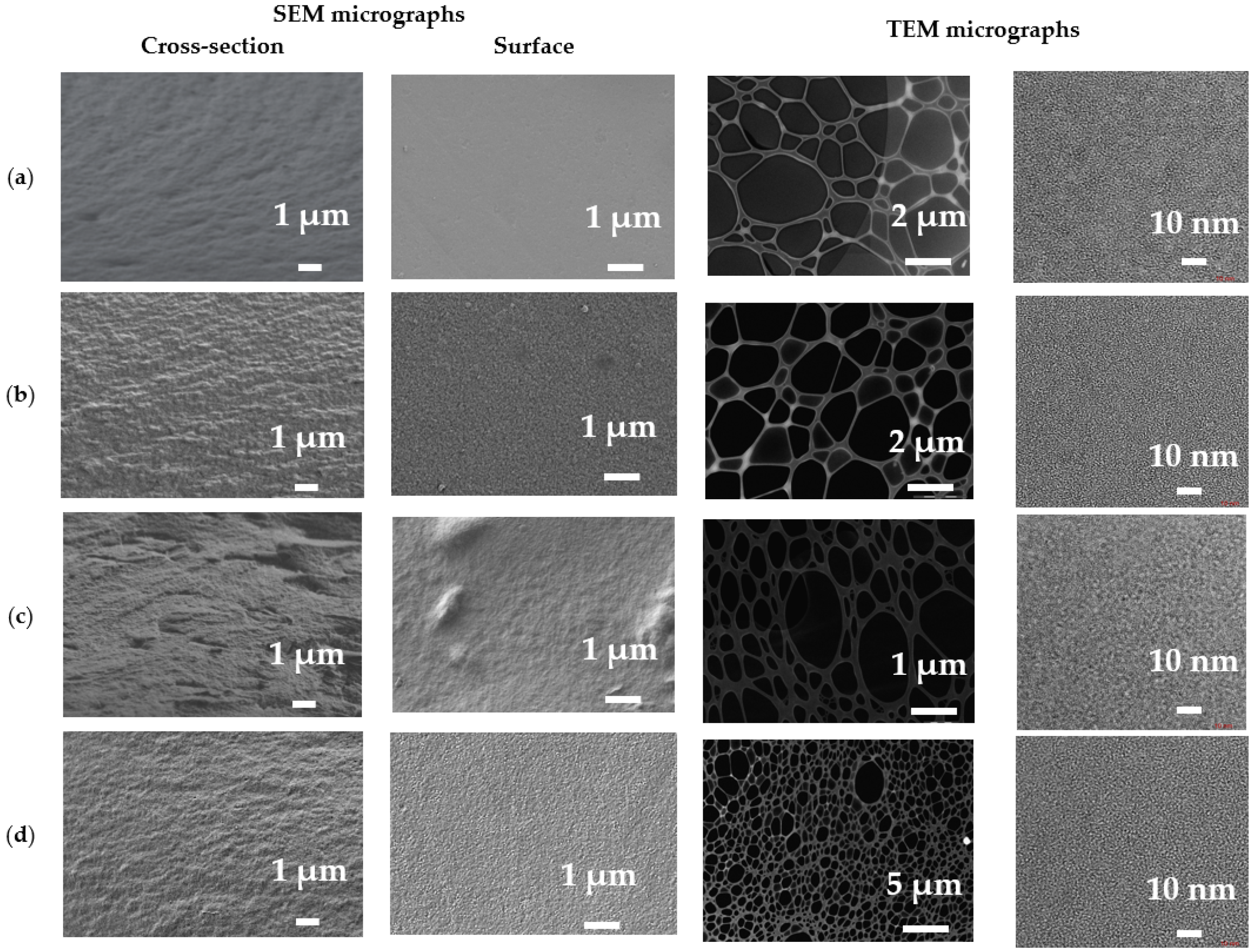 Polymers 16 01206 g014