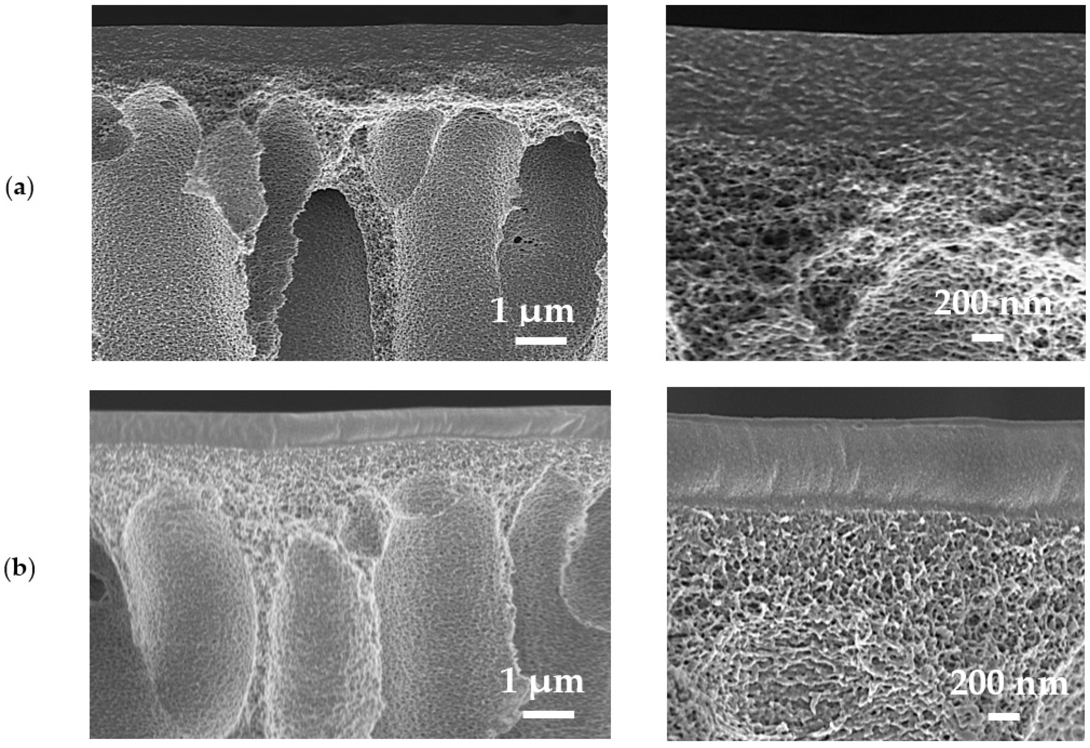 Polymers 16 01206 g016