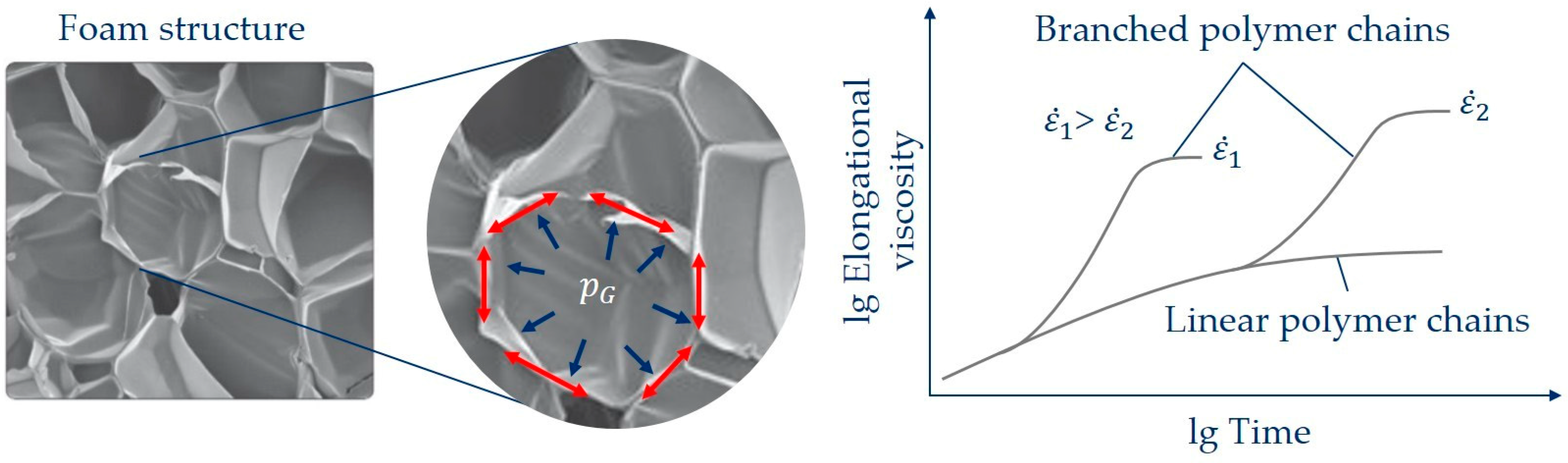 Polymers 16 01213 g001