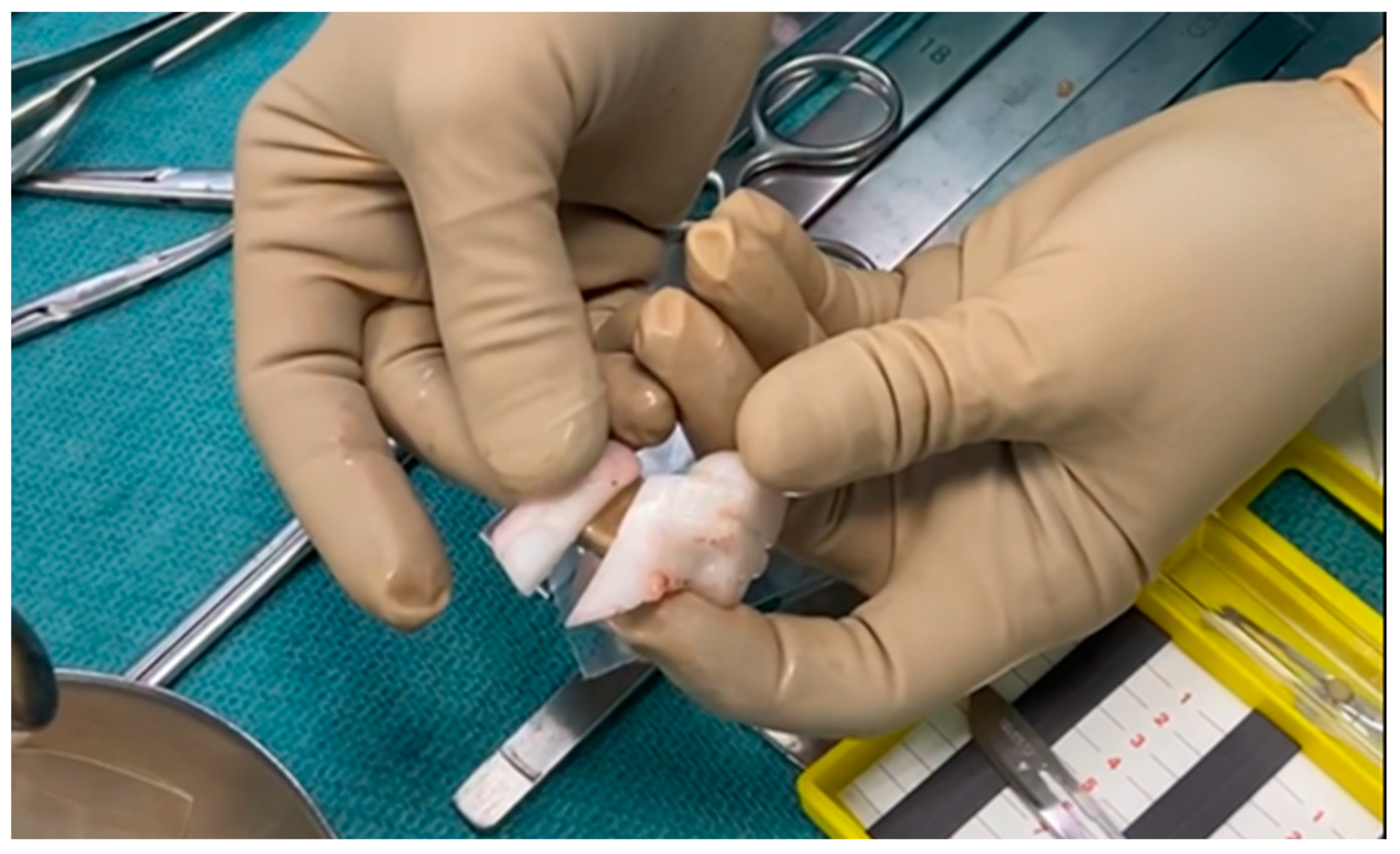 Polymers 16 01216 g006