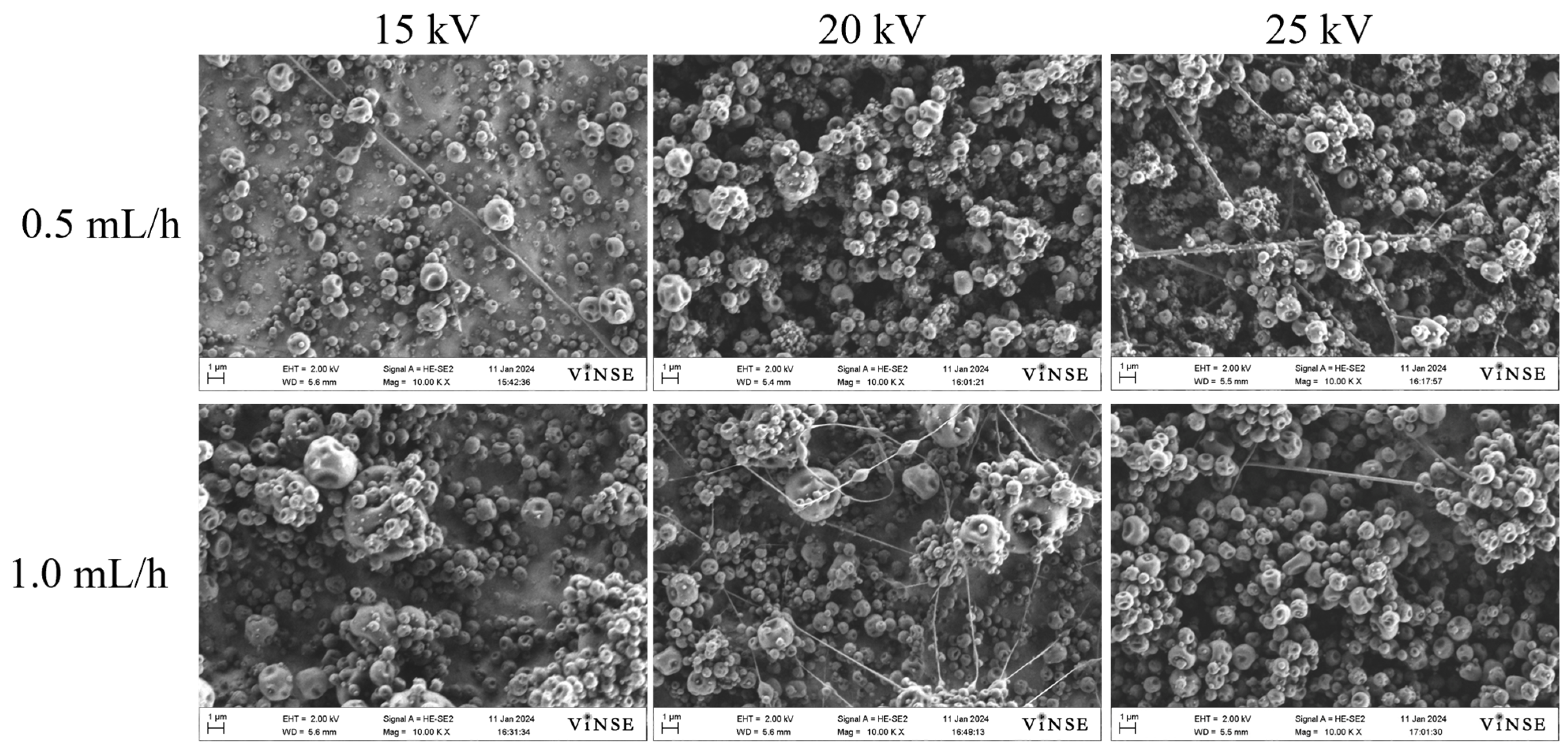 Polymers 16 01217 g003