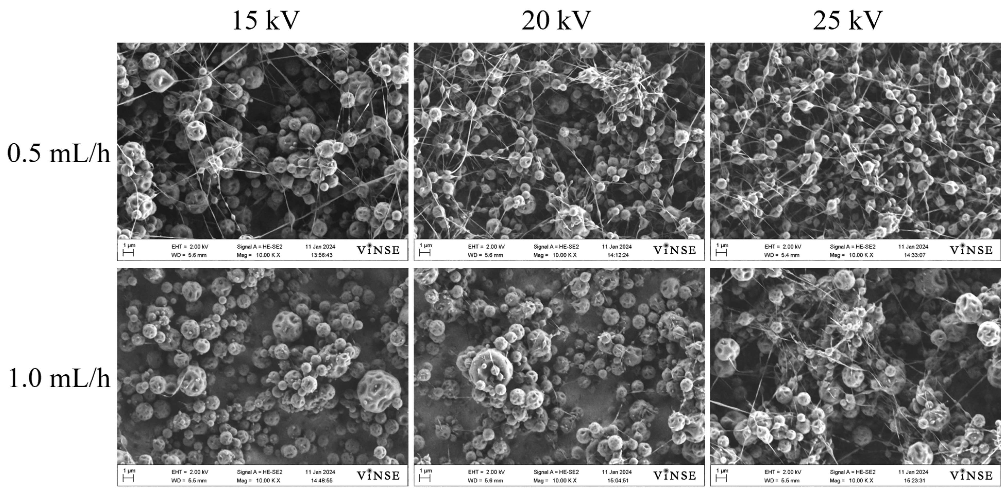 Polymers 16 01217 g004