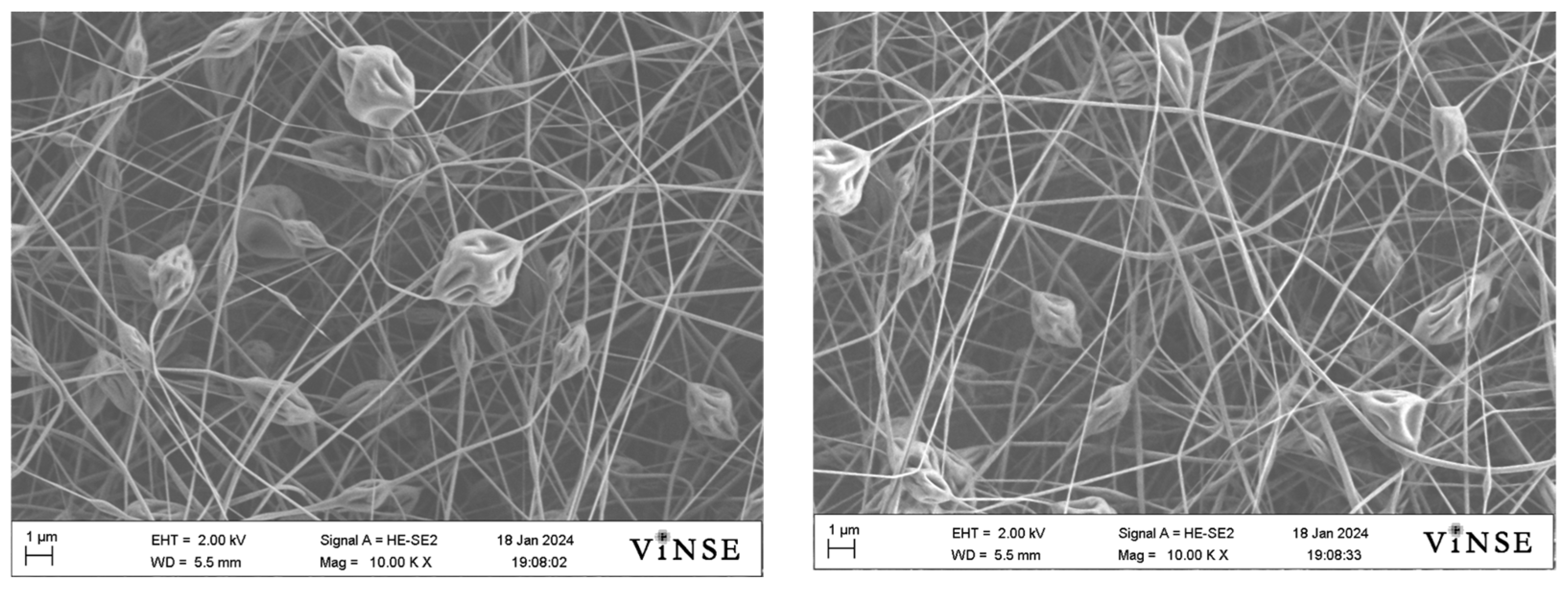 Polymers 16 01217 g013