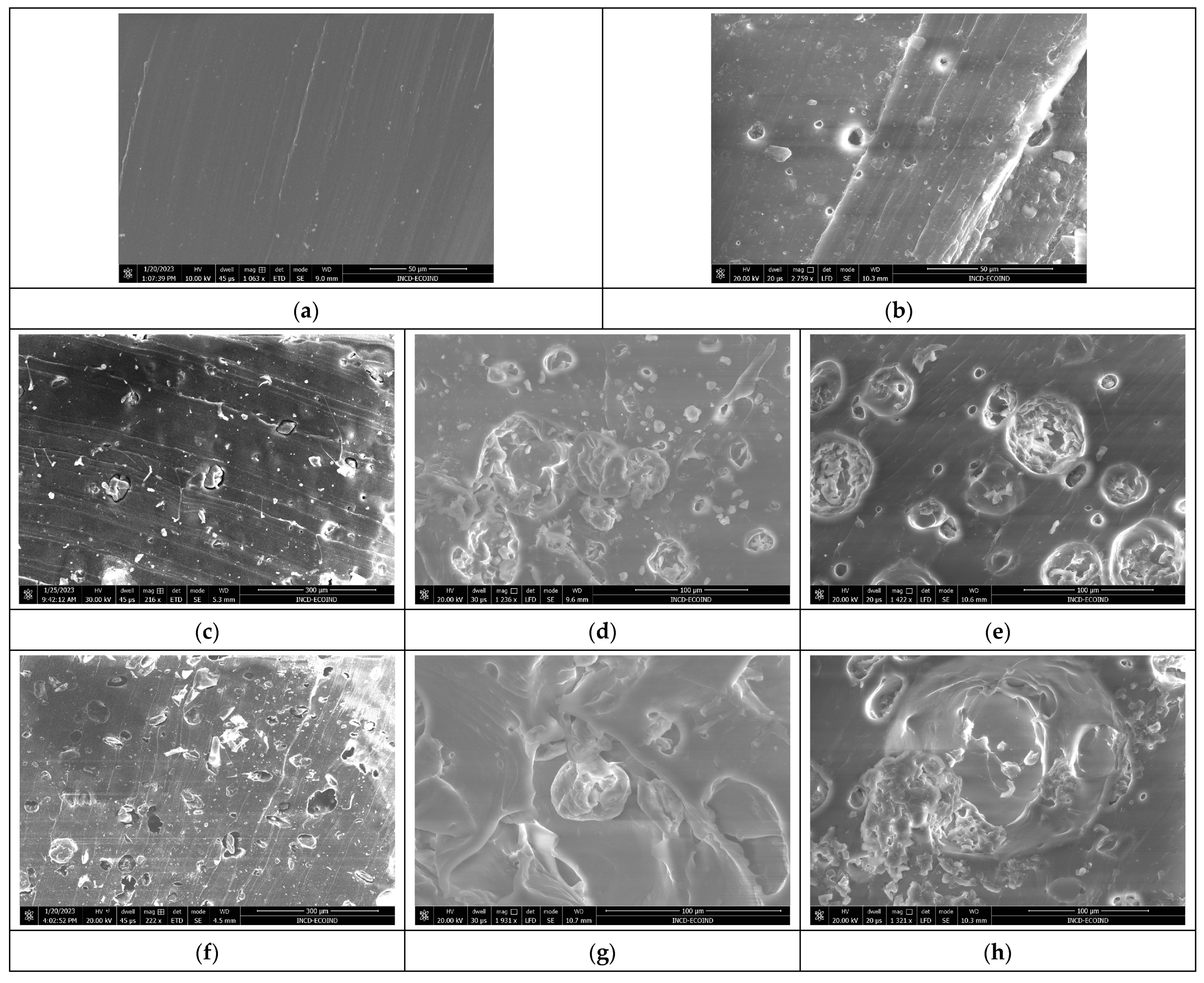 Polymers 16 01218 g007a