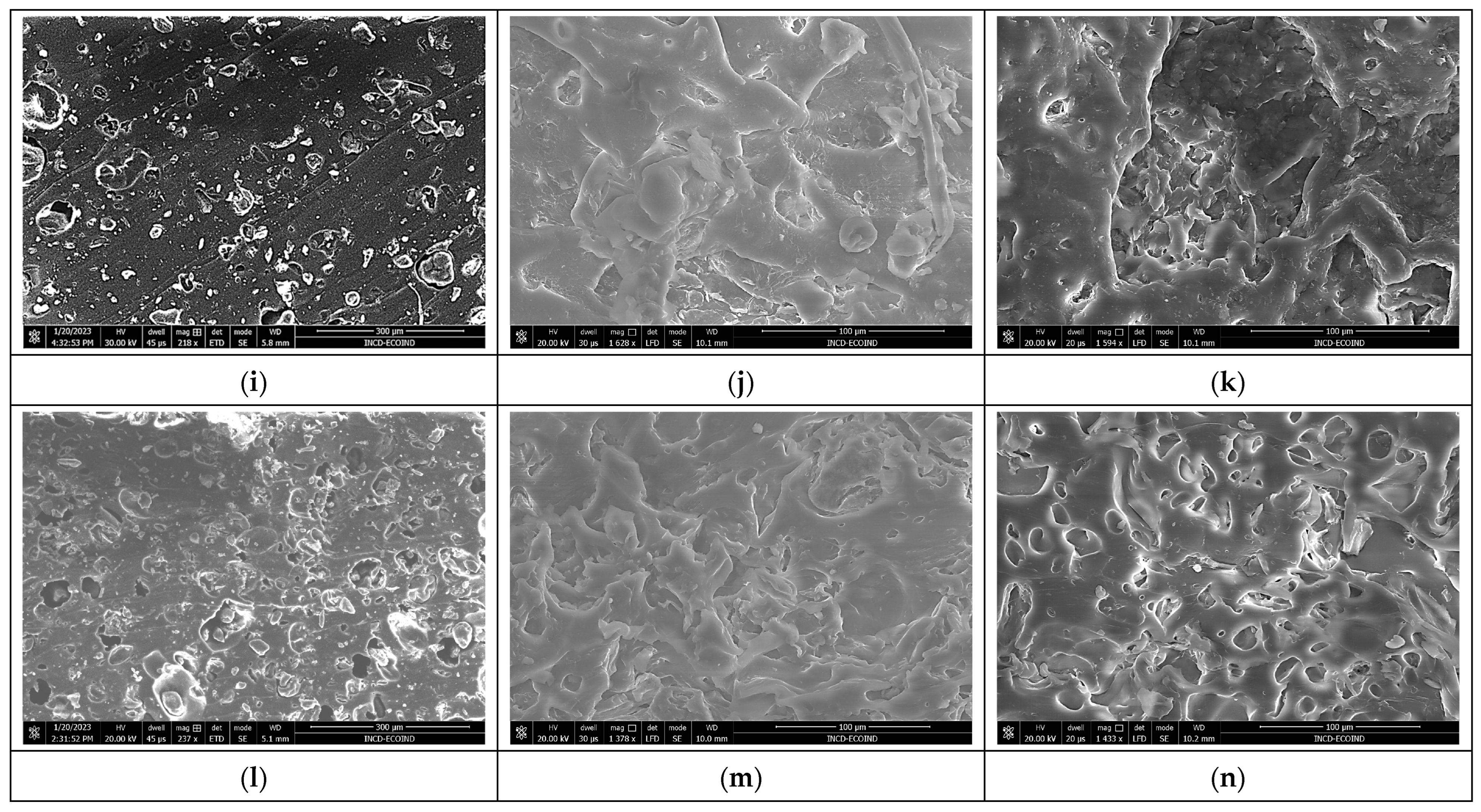 Polymers 16 01218 g007b