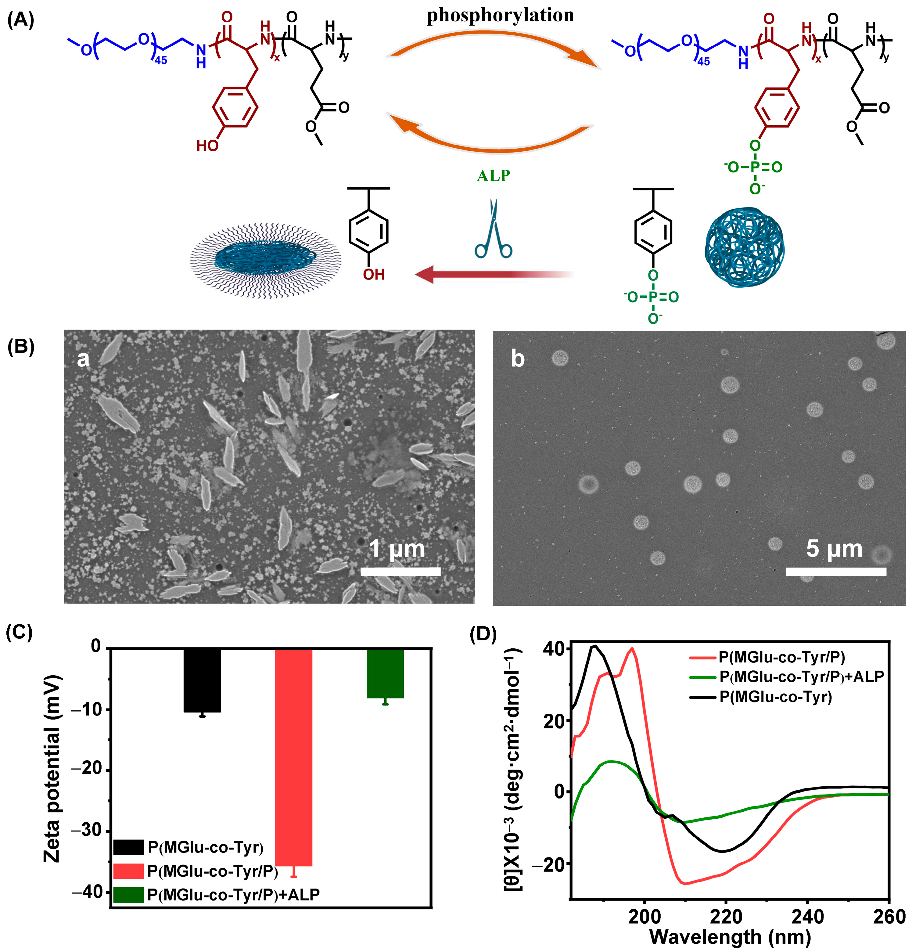 Polymers 16 01221 g006