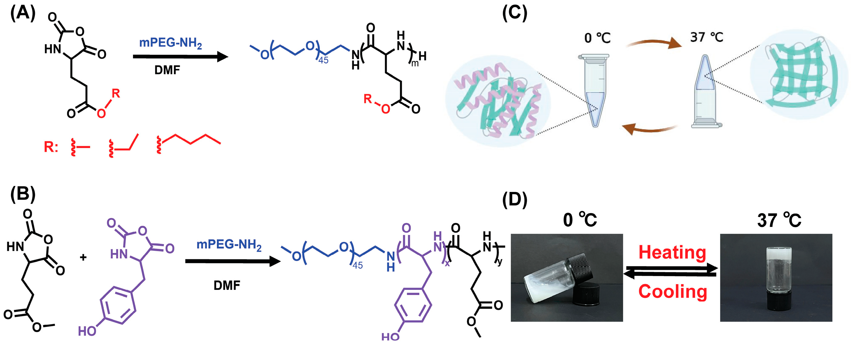 Polymers 16 01221 sch001