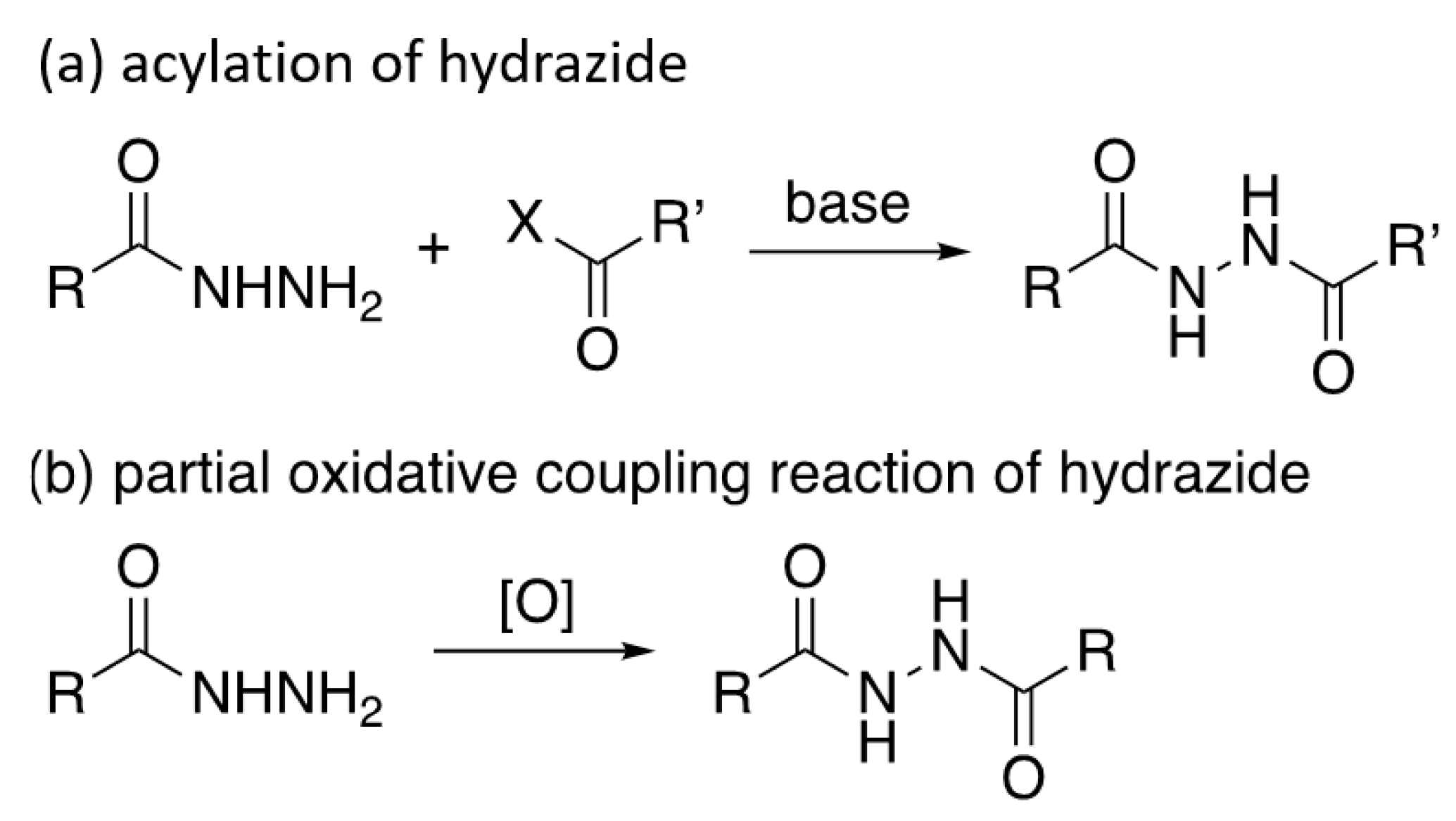 Polymers 16 01222 sch002