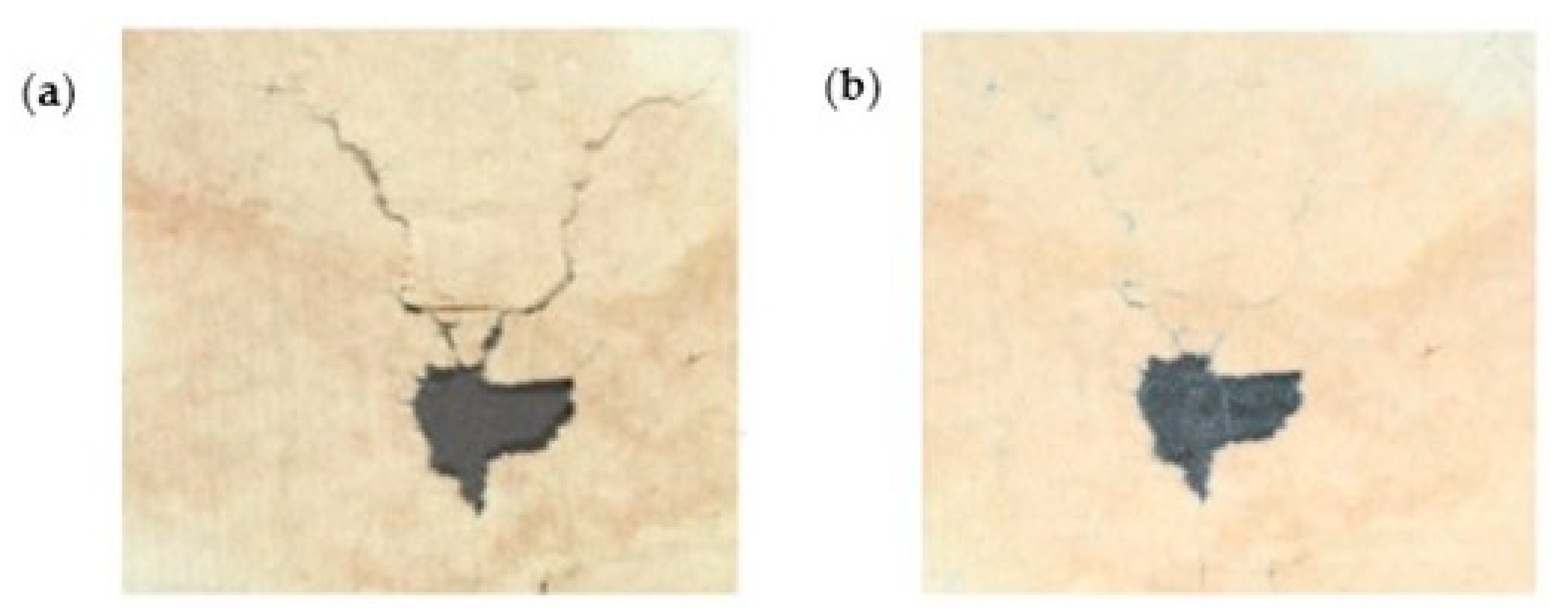 Polymers 16 01227 g004
