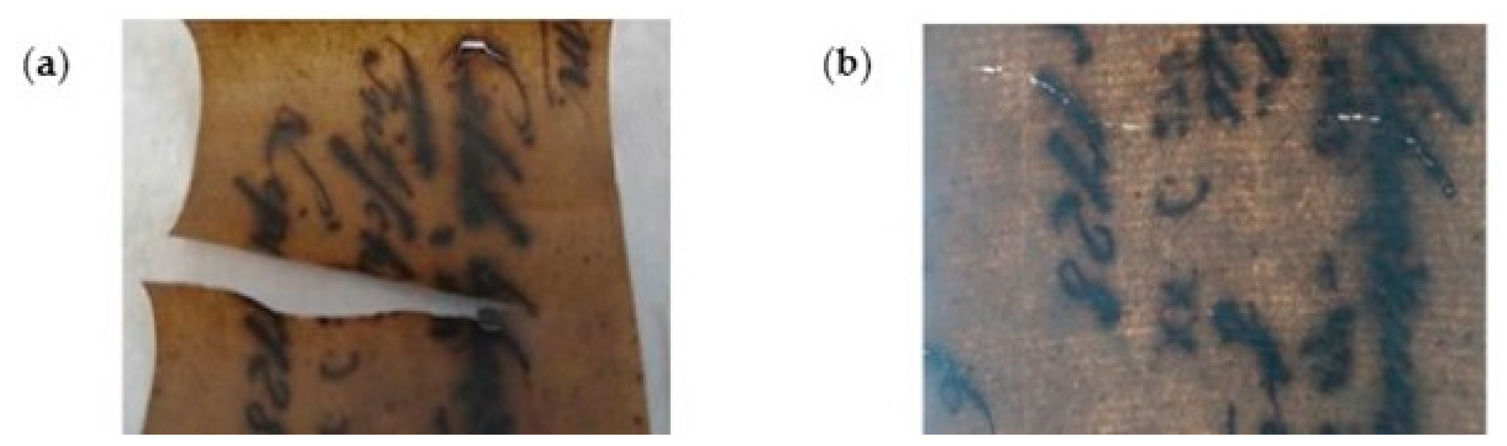 Polymers 16 01227 g006