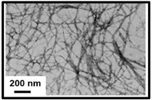 Polymers 16 01227 i002