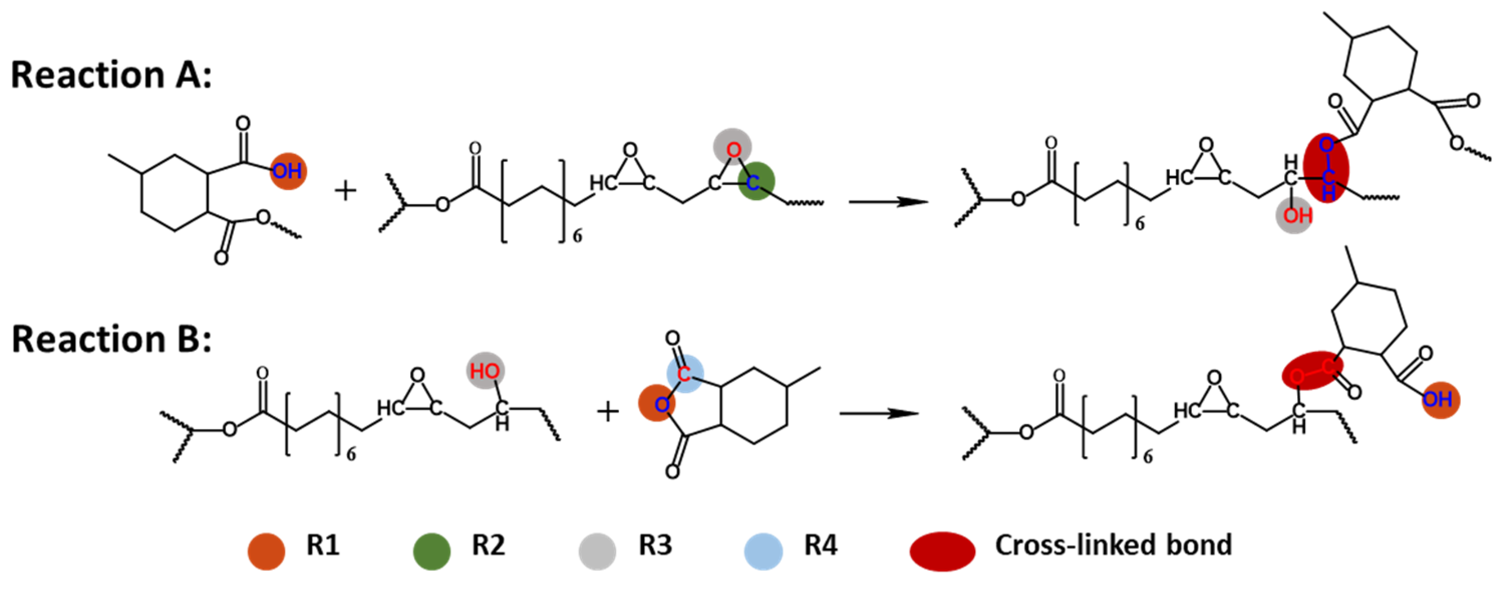 Polymers 16 01229 g002