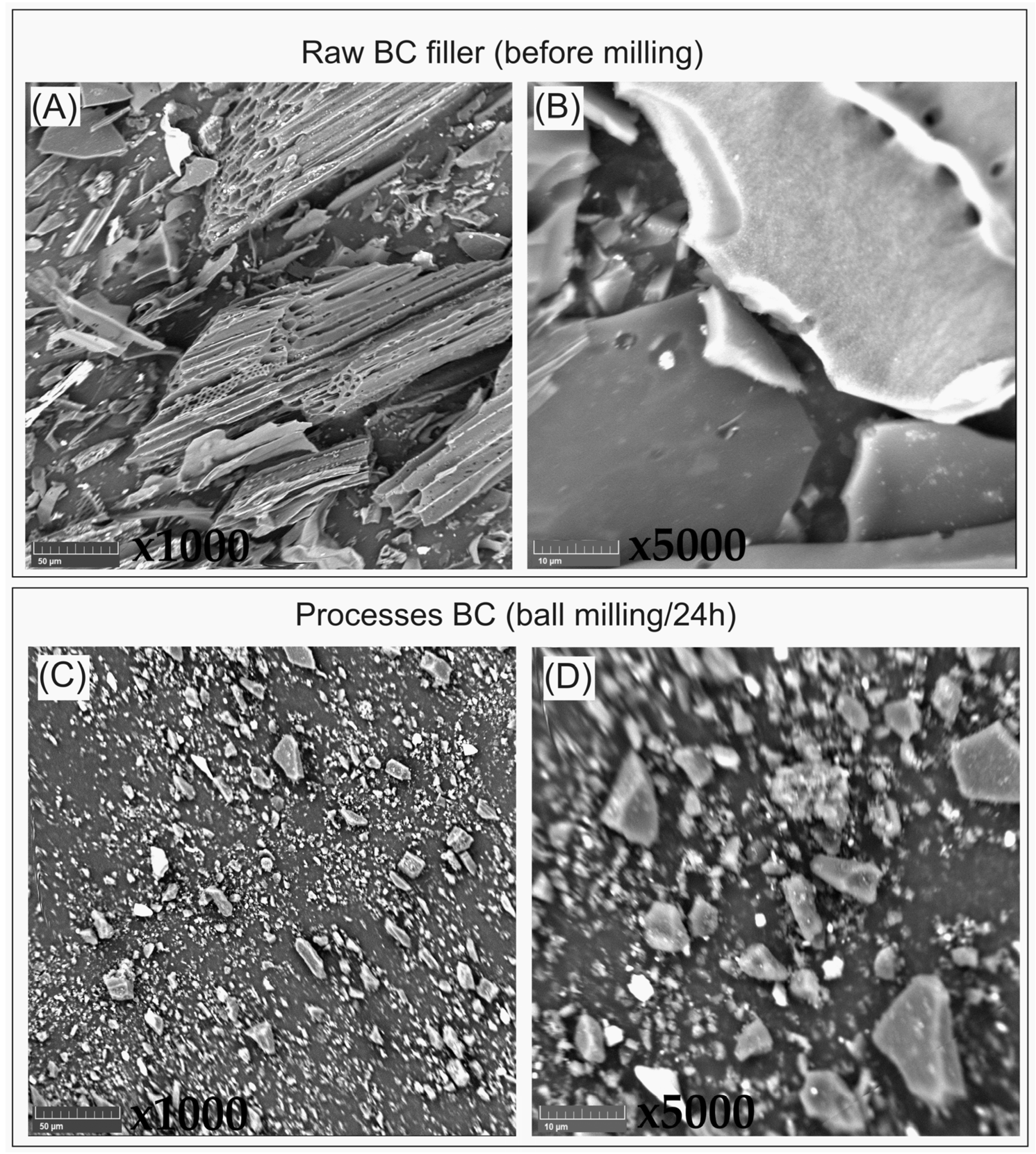Polymers 16 01231 g001