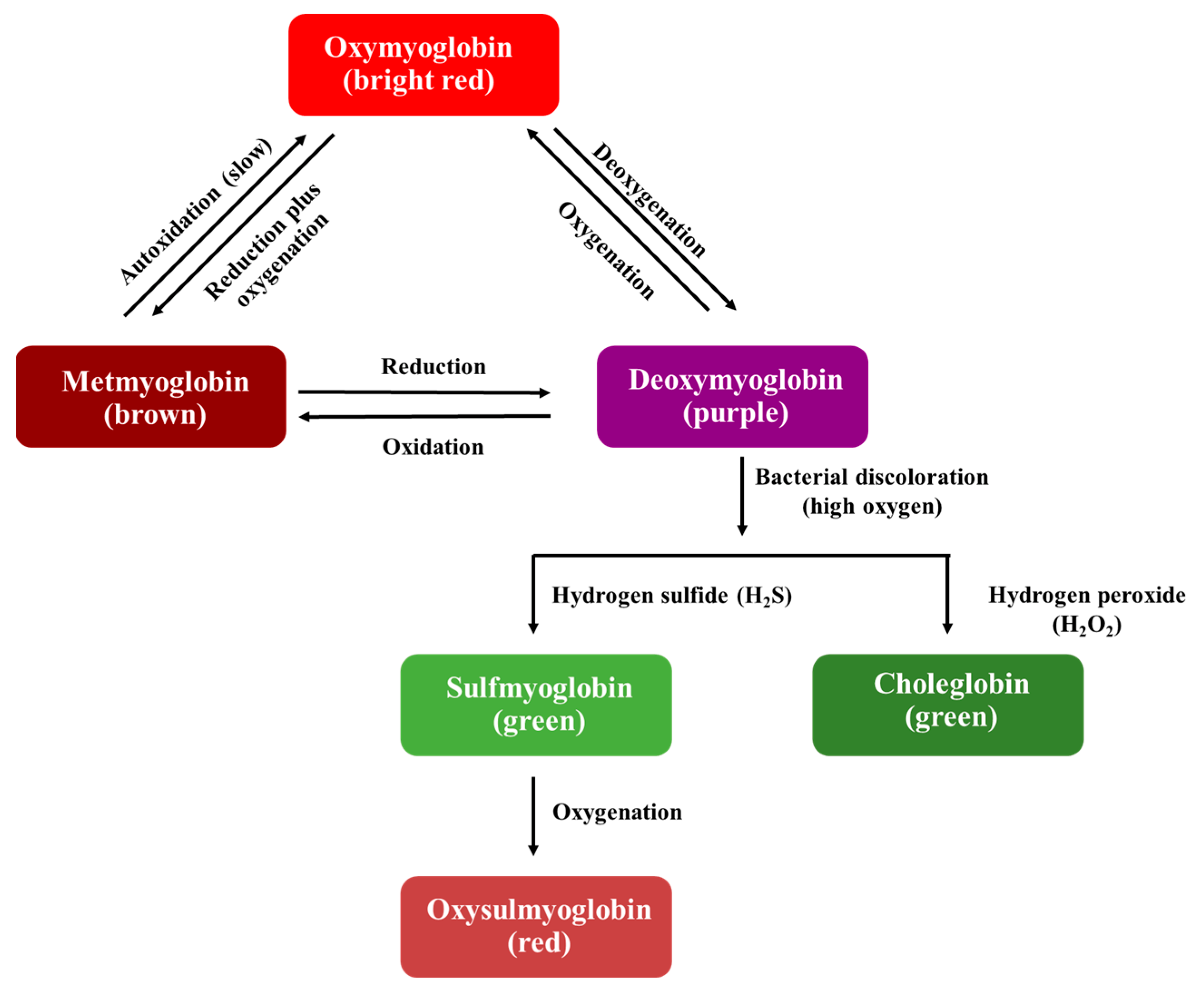 Polymers 16 01232 g001