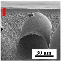 Polymers 16 01236 i001