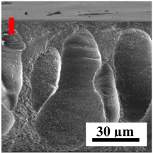 Polymers 16 01236 i004