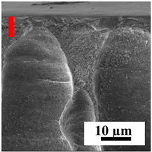 Polymers 16 01236 i005