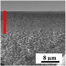 Polymers 16 01236 i009