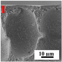 Polymers 16 01236 i011