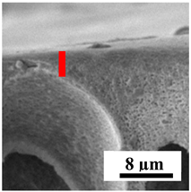 Polymers 16 01236 i015