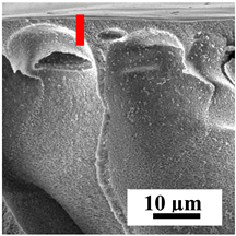 Polymers 16 01236 i017