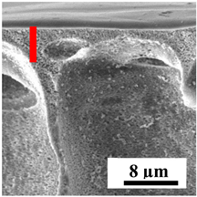 Polymers 16 01236 i018