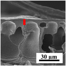 Polymers 16 01236 i019