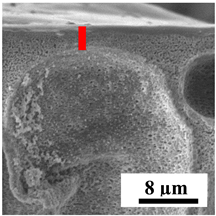 Polymers 16 01236 i021