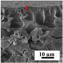 Polymers 16 01236 i023