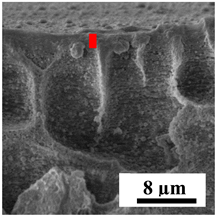 Polymers 16 01236 i024