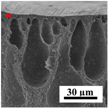 Polymers 16 01236 i025