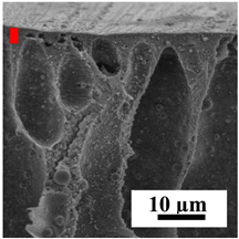 Polymers 16 01236 i026