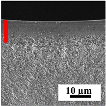 Polymers 16 01236 i029