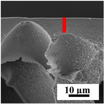 Polymers 16 01236 i032