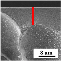 Polymers 16 01236 i033