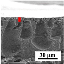 Polymers 16 01236 i034