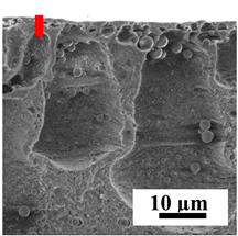 Polymers 16 01236 i035