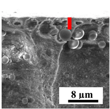 Polymers 16 01236 i036