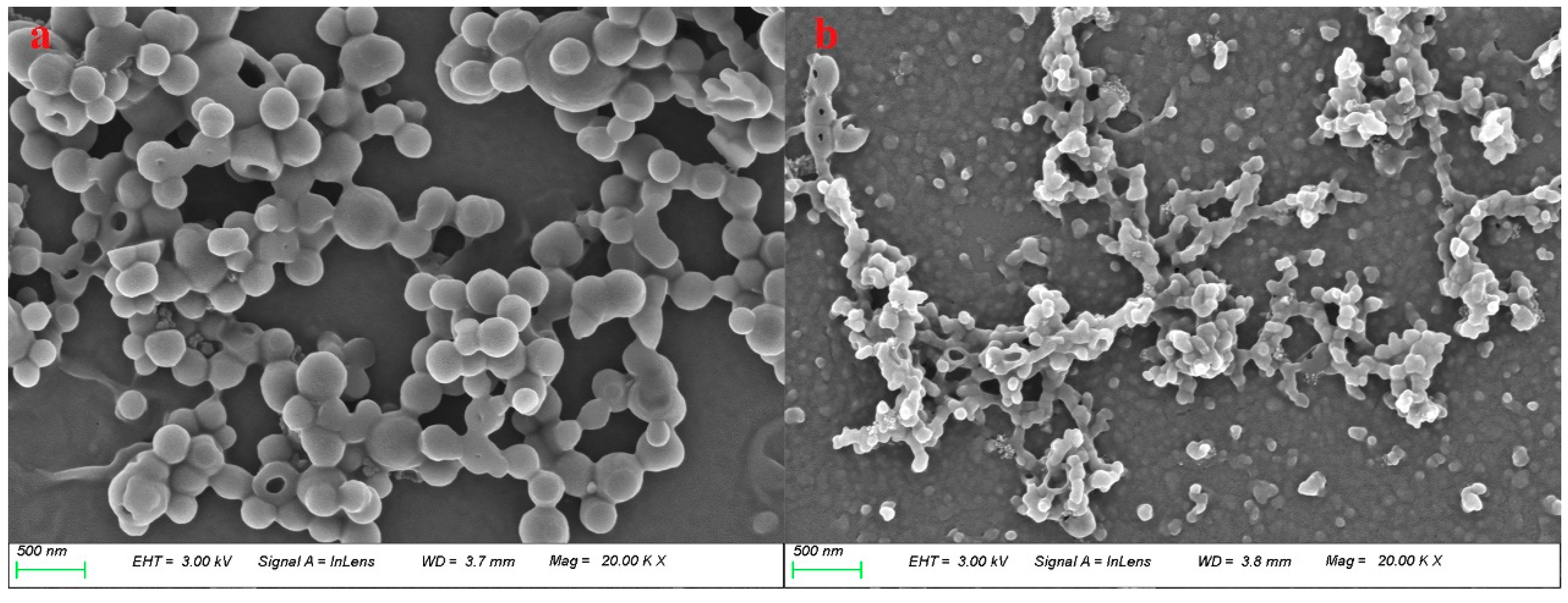 Polymers 16 01237 g001