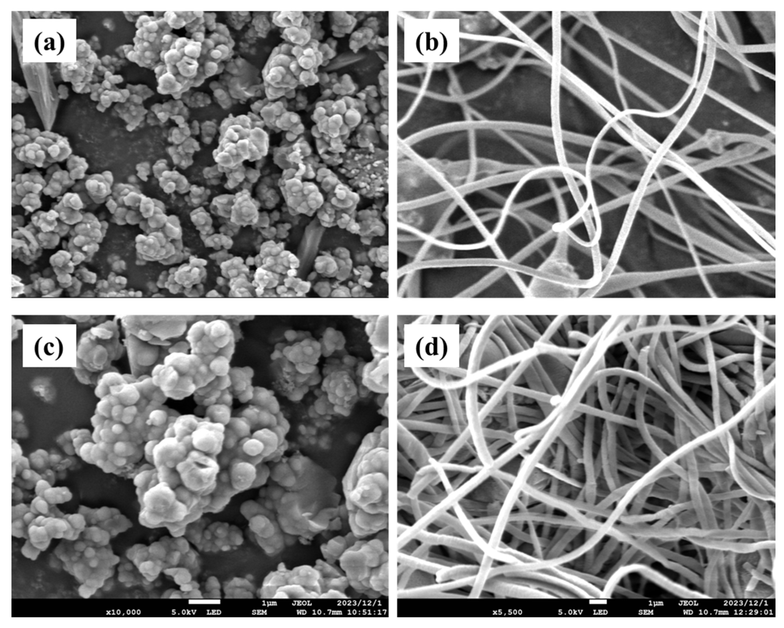 Polymers 16 01239 g002