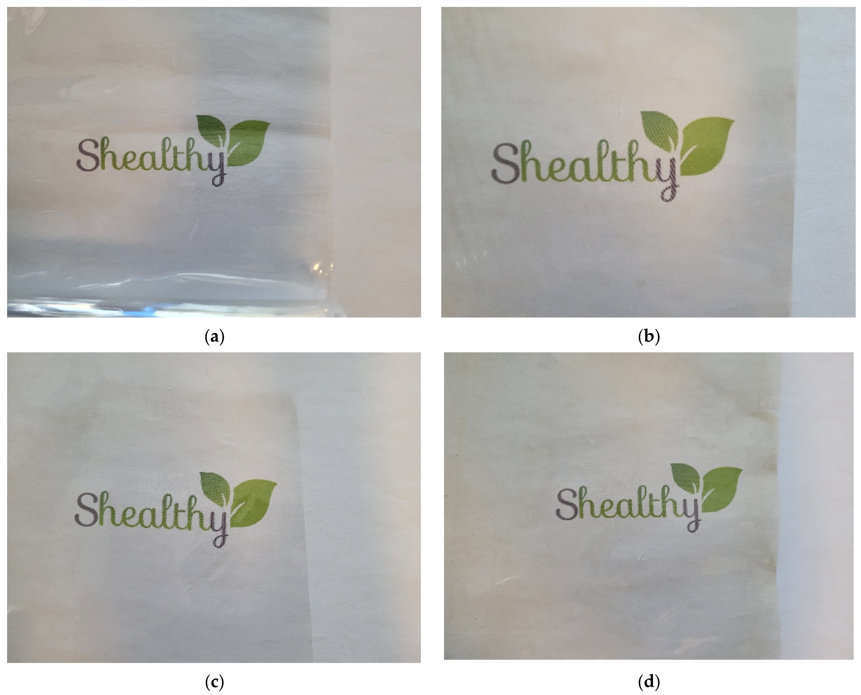 Polymers 16 01245 g001