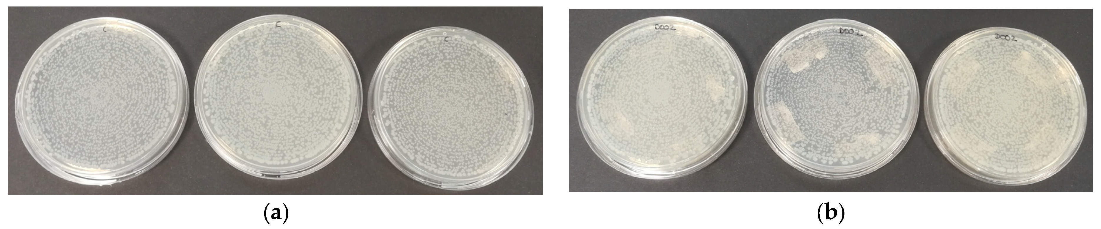 Polymers 16 01245 g006